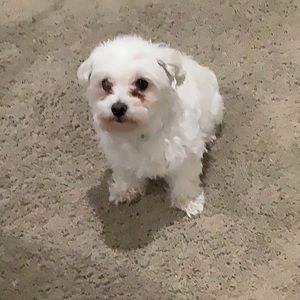 Meet your Posher, Andra